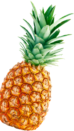 Ananas